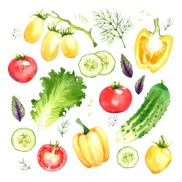 孤立水彩蔬菜集素材图片