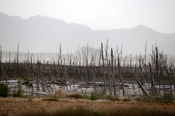 开普敦图片素材ID：305363238