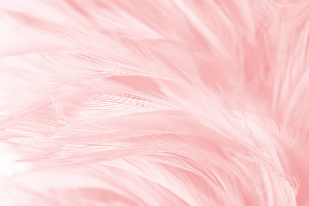 珊瑚粉复古色流行羽毛纹理背景图片下载