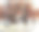 城市景观。冬天的公园。素材图片