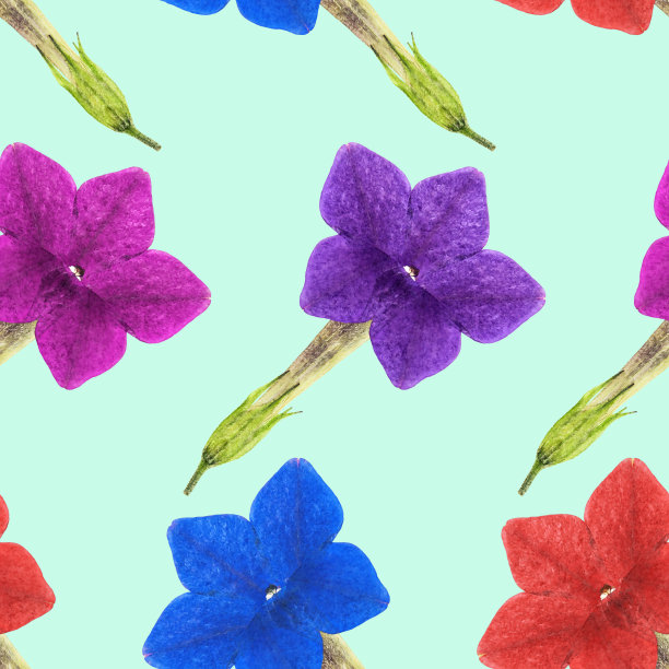 烟草香。花型纹理无缝。花背景，照片拼贴图片下载