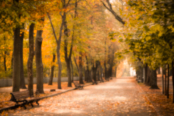 模糊的秋天公园背景图片下载