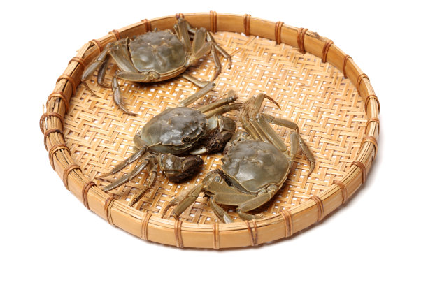 蟹孤立在白色背景素材图片