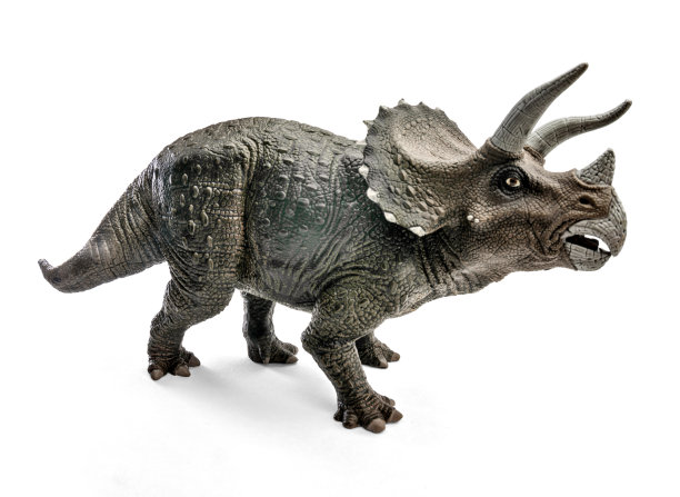 大视角的三角龙玩具孤立在白色背景与剪切路径。图片下载