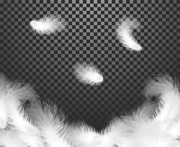 在透明的背景下，真实的羽毛旋转着落下。图片下载
