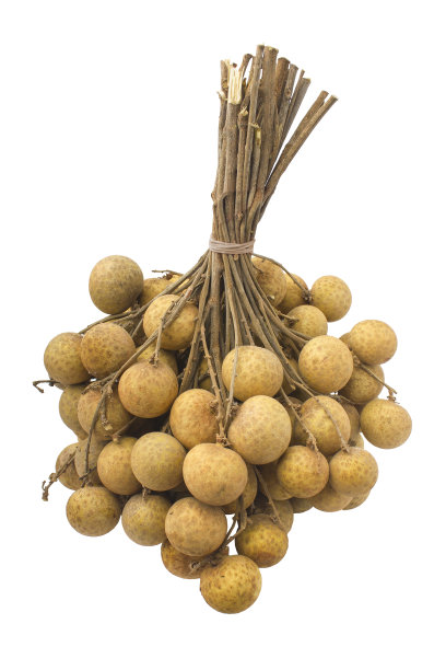 鲜龙眼(Dimocarpus Longan)白色背景图片下载