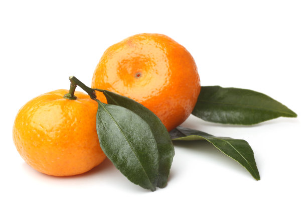 成熟的橘子，叶子是绿色的图片下载