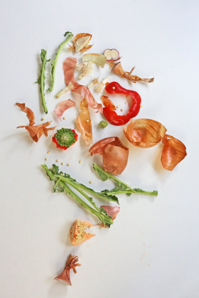 废弃的蔬菜皮和秸秆堆肥图片下载