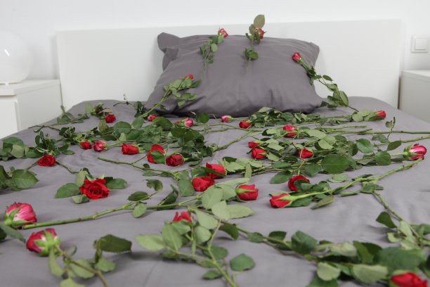 这里下雪了图片下载