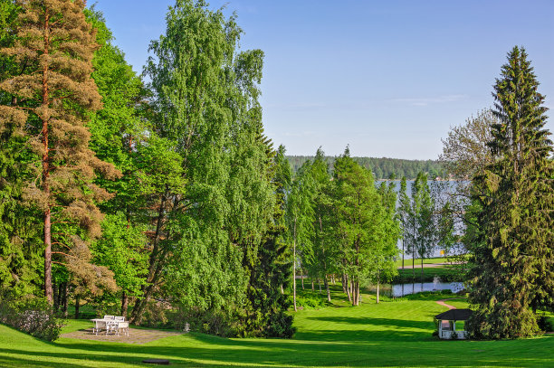 美丽的花园，绿色的草坪和放松的地方图片下载