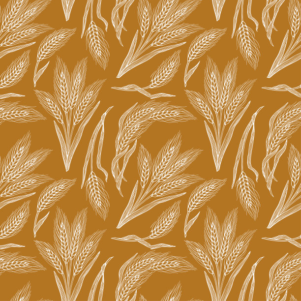 无缝的小麦的耳朵图片下载