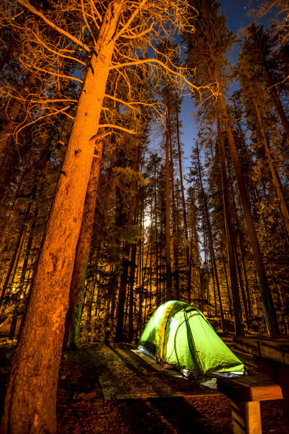 两个杰克湖边的营地下的星星和点燃的营火图片下载