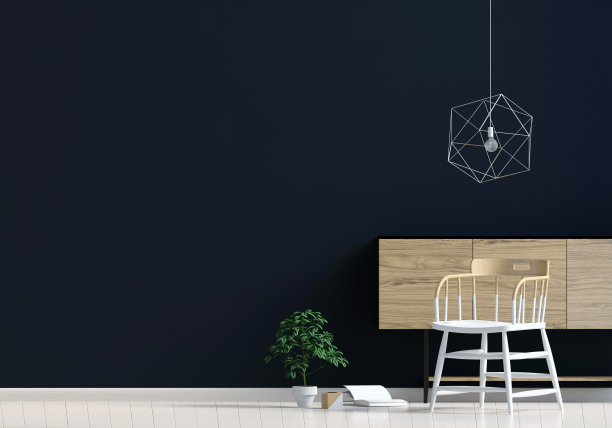 现代化的内饰，有机架，植物和椅子。墙模型。三维演示图片下载