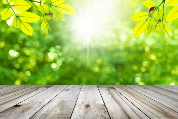天然木质桌面，绿色的树叶与自然模糊的背景。图片下载