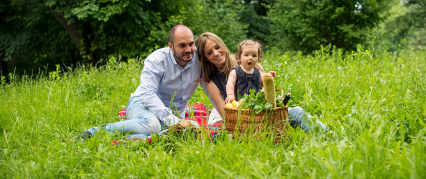家庭野餐在草地，全景图片下载