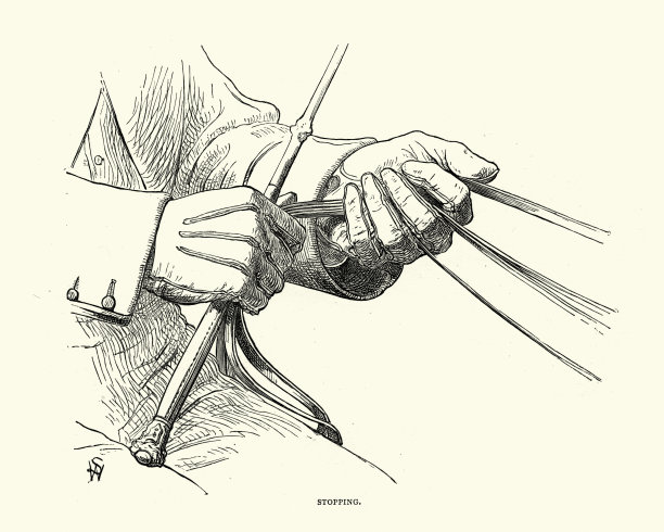 维多利亚时代的马车驾着，拉着缰绳停下来图片下载