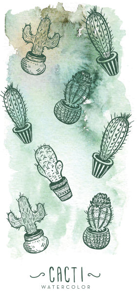 各种仙人掌在盆与水彩背景纹理图片下载