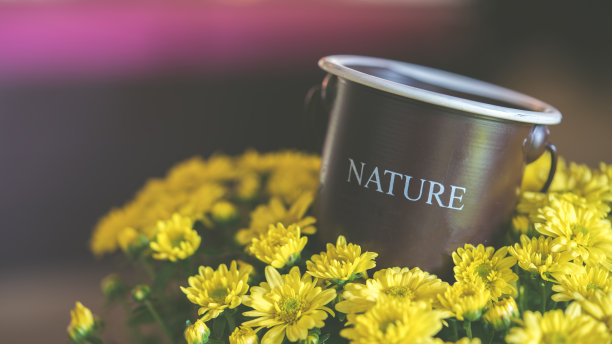 的照片图片下载