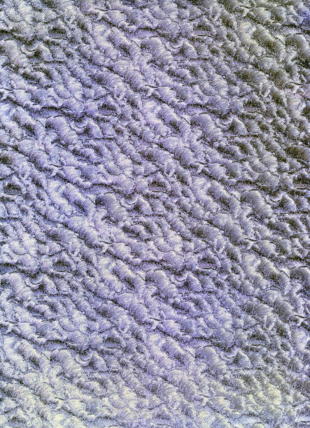 背景或壁纸用乙烯薄膜包装的特写镜头图片下载