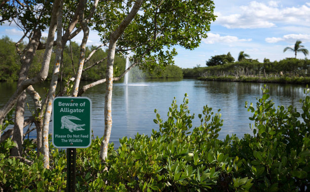 小心鳄鱼标志图片下载