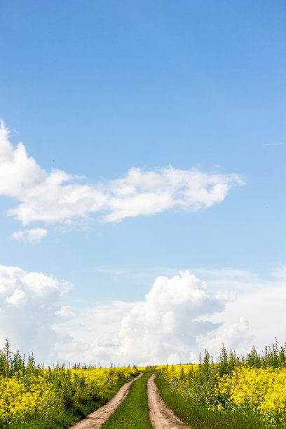 蓝天下的乡村土路图片下载