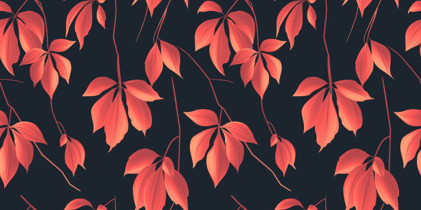 无缝图案，红色日本枫槭掌叶，枝上有深蓝色的背景图片下载