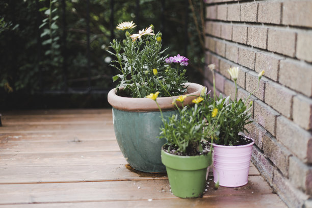 门廊上的盆栽和鲜花图片下载