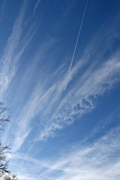 鲜艳的蓝天，白色的羽毛扇动着一条条云彩图片下载