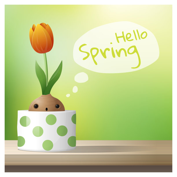 你好春天的背景与春天的花郁金香生长在一个花盆在木制的桌面，矢量，插图图片下载