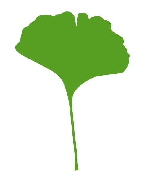 银杏叶图片下载