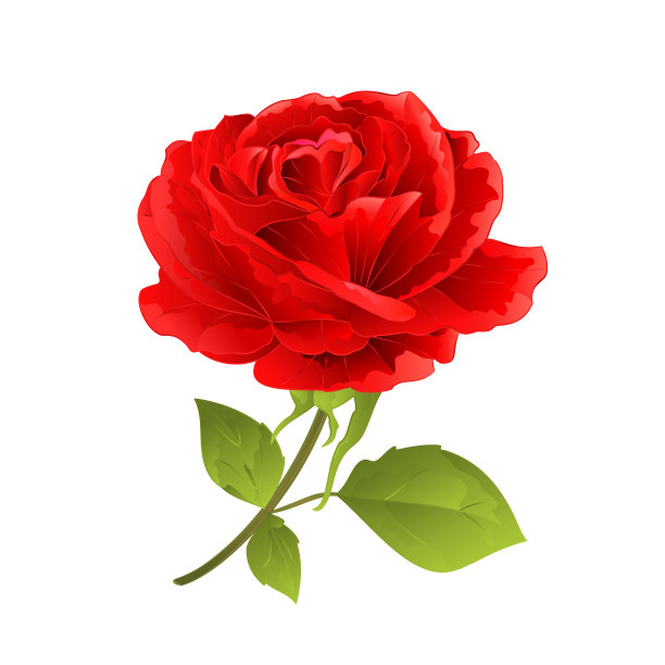 花红玫瑰上的白色背景嫩枝与叶复古矢量插图可编辑素材图片