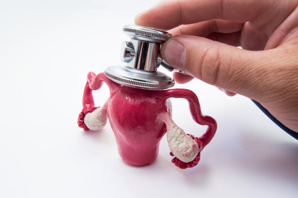 妇科医生用听诊器检查女性的性器官——子宫、输卵管、卵巢或可能怀孕的部位。妊娠、女性生殖系统疾病诊断或检测的概念图片下载