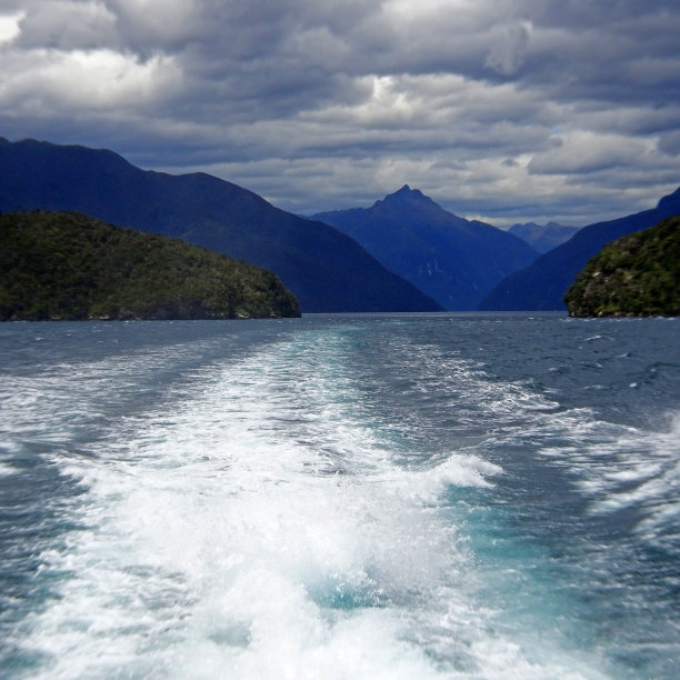 怀疑的声音巡航图片下载