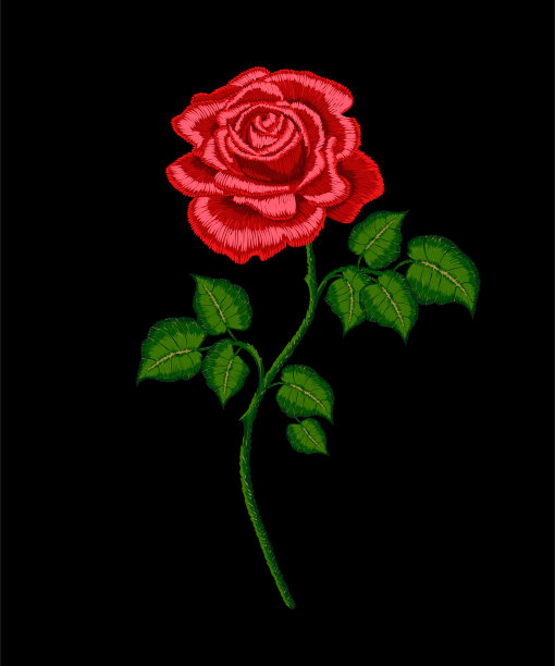 矢量刺绣红玫瑰与茎。图片下载