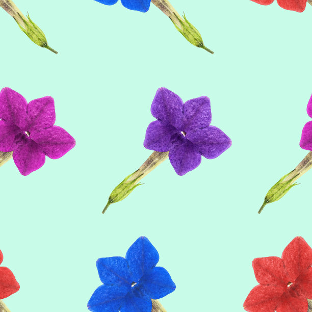 烟草香。花型纹理无缝。花背景，照片拼贴图片下载