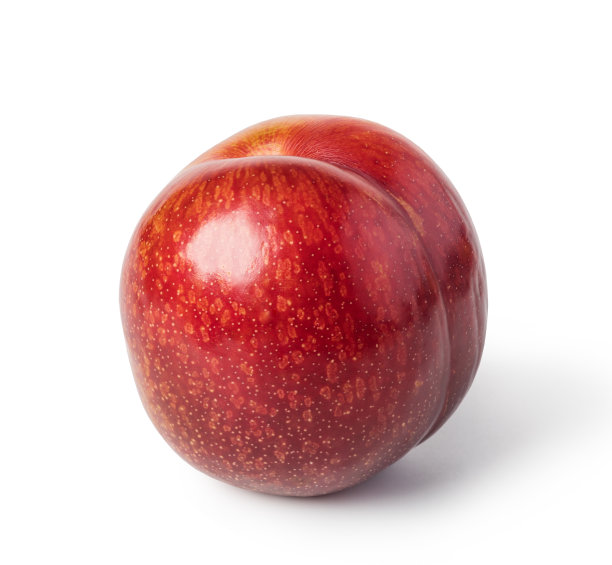 李子的水果图片下载