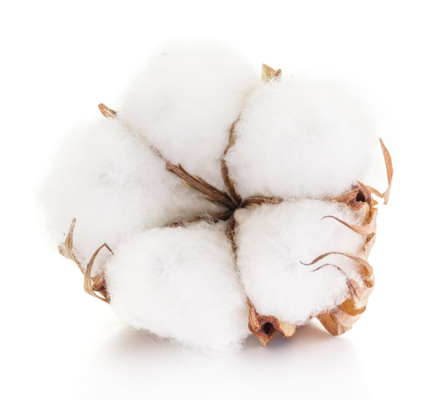 白色背景上蓬松的棉花球。图片下载