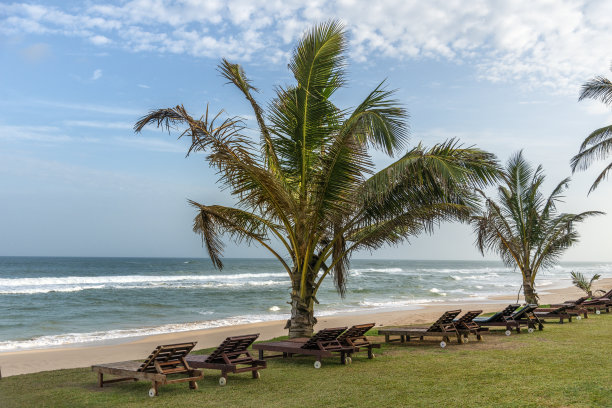 斯里兰卡的海滩。阳光，棕榈树，躺椅和海滩在斯里兰卡加勒。这张图片有GPS标记图片下载