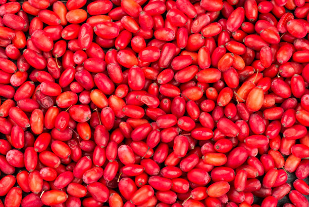 新鲜的粗暴地图片下载