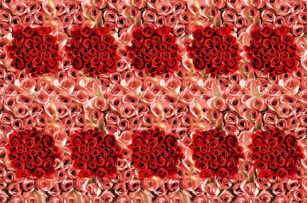 背景的玫瑰图片下载