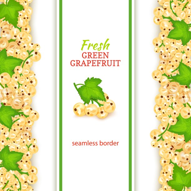 白醋栗果垂直无缝边界。矢量图卡。宽窄无尽带白醋栗浆果，用于设计食品包装果汁、早餐、化妆品、茶叶、排毒。图片下载