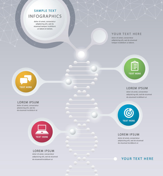 信息图形设计模板，DNA分子载体，科学，技术，化学，商业数据流程图。图片下载