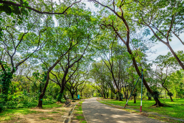 公园内的道路或步道周围有许多树木，白天阳光照射，使地面阴凉。图片下载