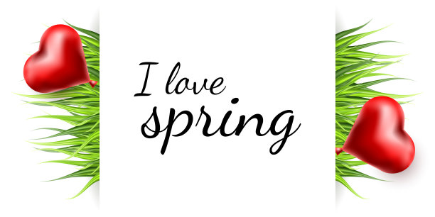 超级逼真，详细的新鲜绿色矢量草和气球。孤立的植物茎为前平面自然插图。卡和旗帜。渐变网格工具。图片下载