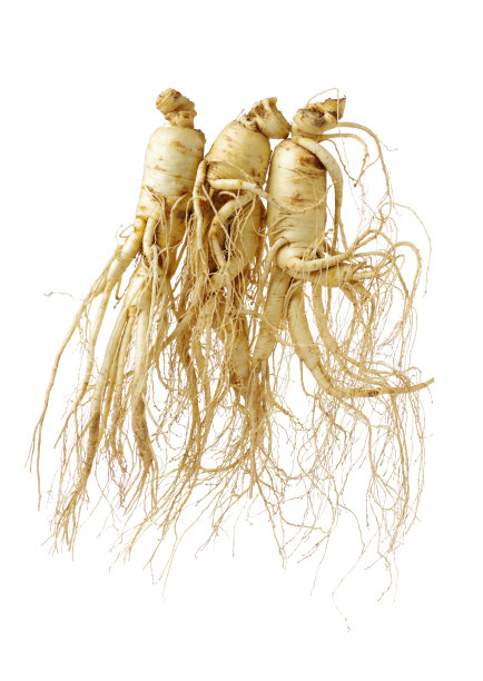 白底分离人参图片下载