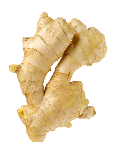 在白色背景上分离的生姜根图片下载