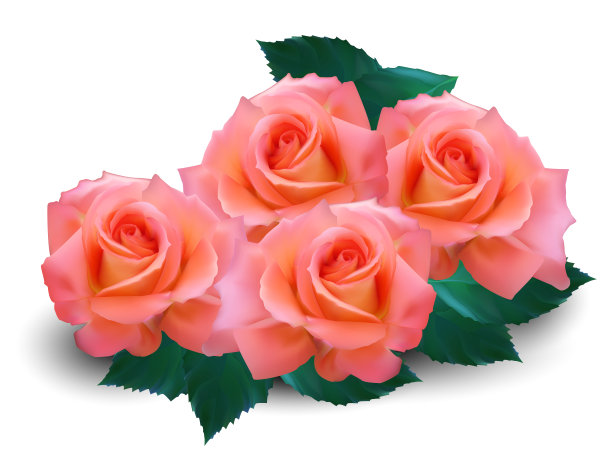 情人节快乐。非常现实的例证。图片下载