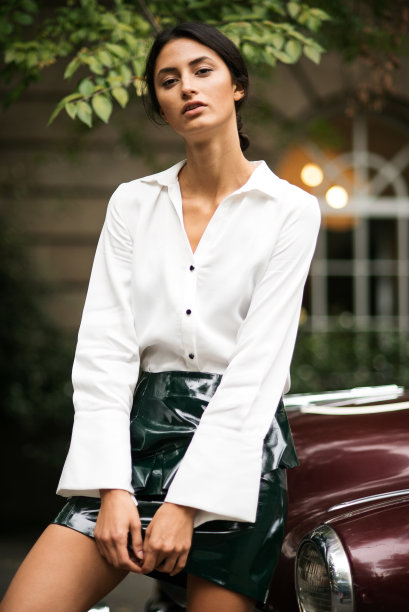 看镜头的优雅女子。图片下载