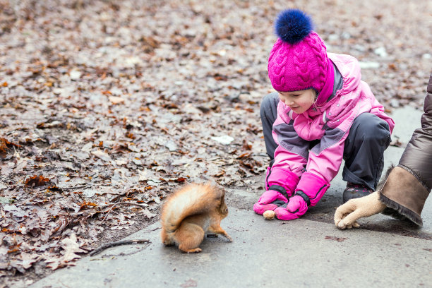 女孩和妈妈在森林里喂松鼠。图片下载