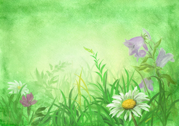 春天的花朵图片下载